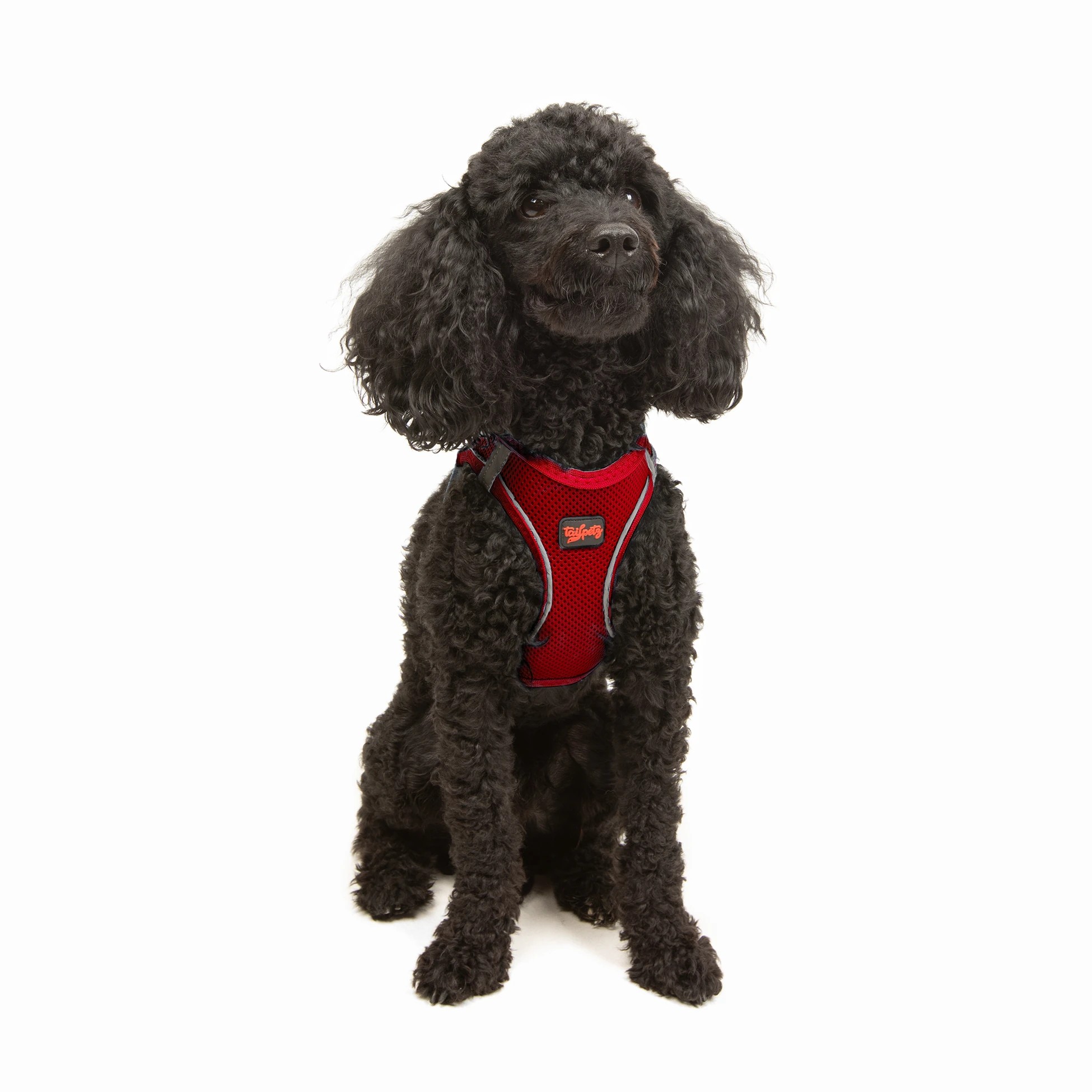 Tailpetz Air-Mesh Harness Red S