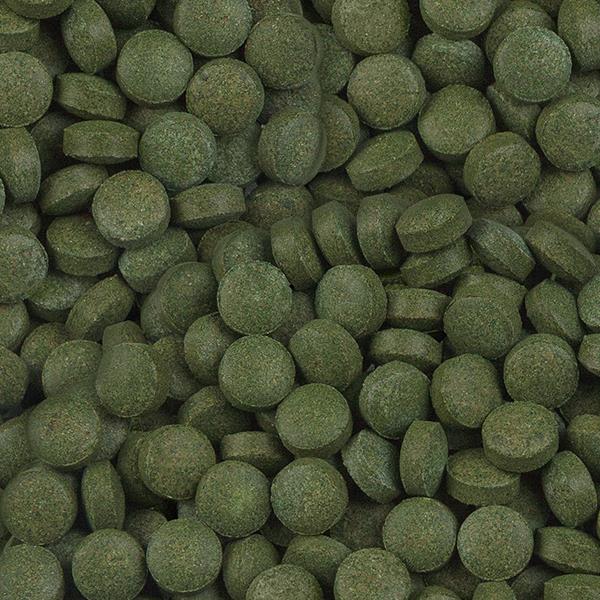 Sera Plankton Tabs Nature 1000 Adet -Kovadan Bölme