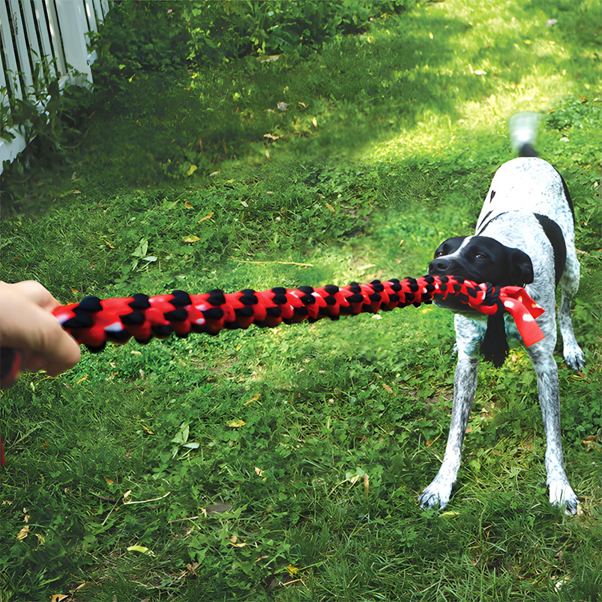 Kong Signature Rope Mega Çift Düğümlü İp Köpek Oyuncağı 101 Cm