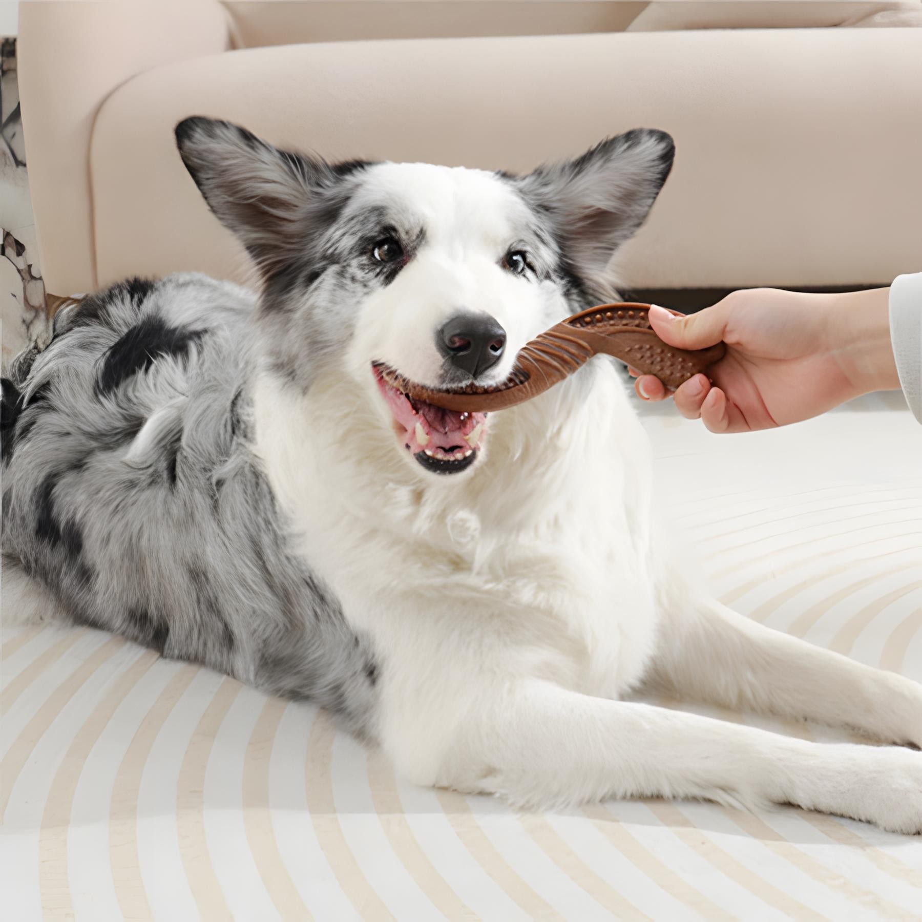 M-Pets Chewood Small Twist Köpek Oyuncağı