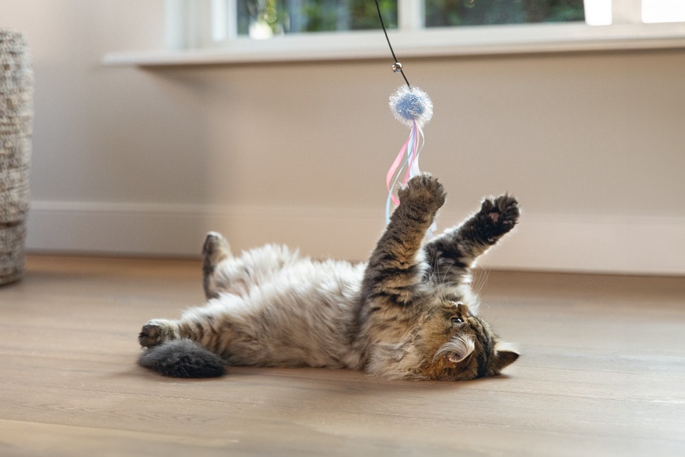Beeztees Kedi Oltası, Zilli, Tüylü Top ve Kurdelalar,