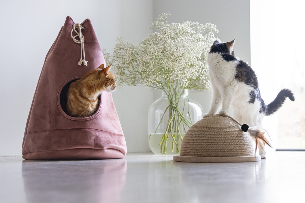 Beeztees DBL Kedi Tırmalama ve Oyuncağı, 34,5x34,5x18cm