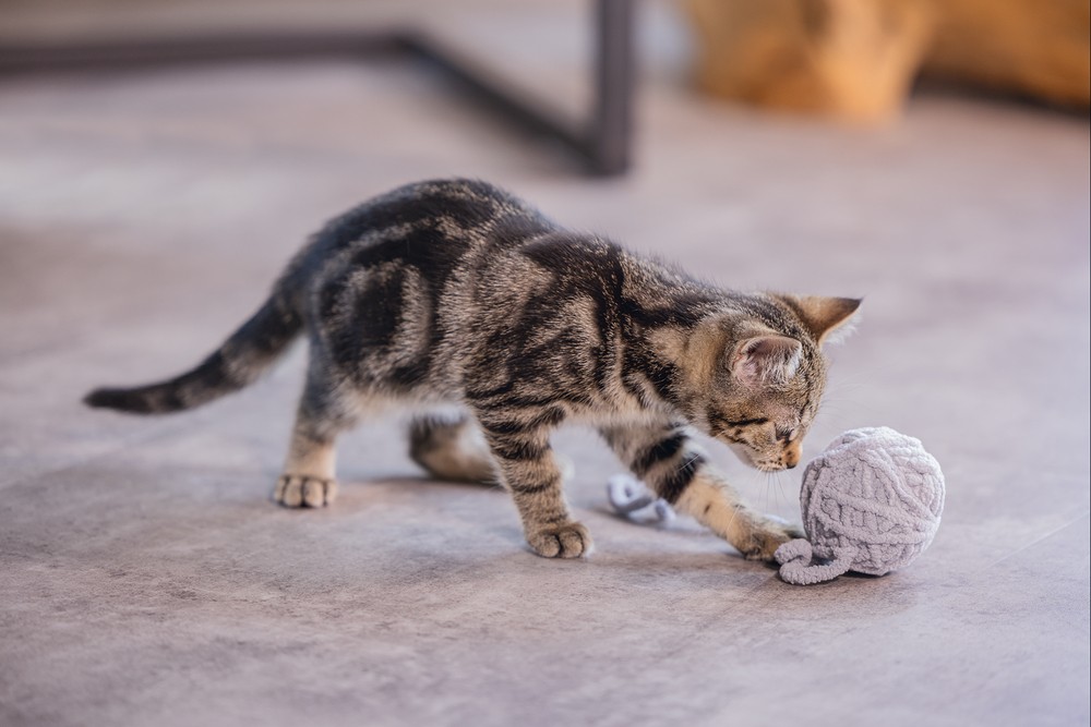 Beeztees Yavru Kedi Oyuncağı, Kuyruklu Yün Top, 6,5cm, 35cm kuyruk