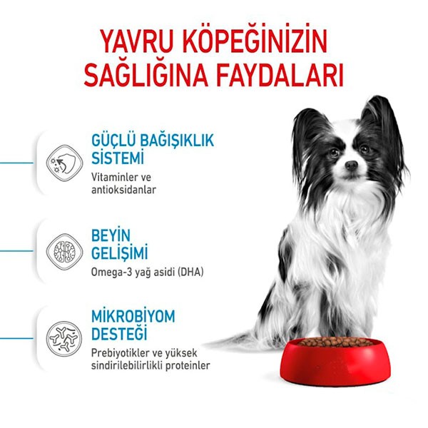 Royal Canin XSmall Puppy Yavru Köpek Maması 3 Kg