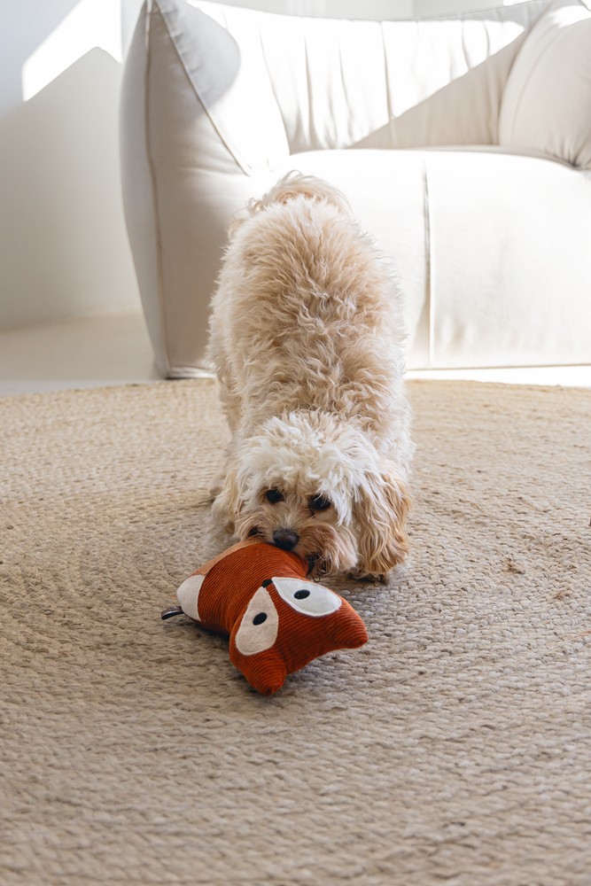 Beeztees DBL Köpek Oyuncağı, Sesli, Tilki, Peluş, Turuncu, 25,5cm