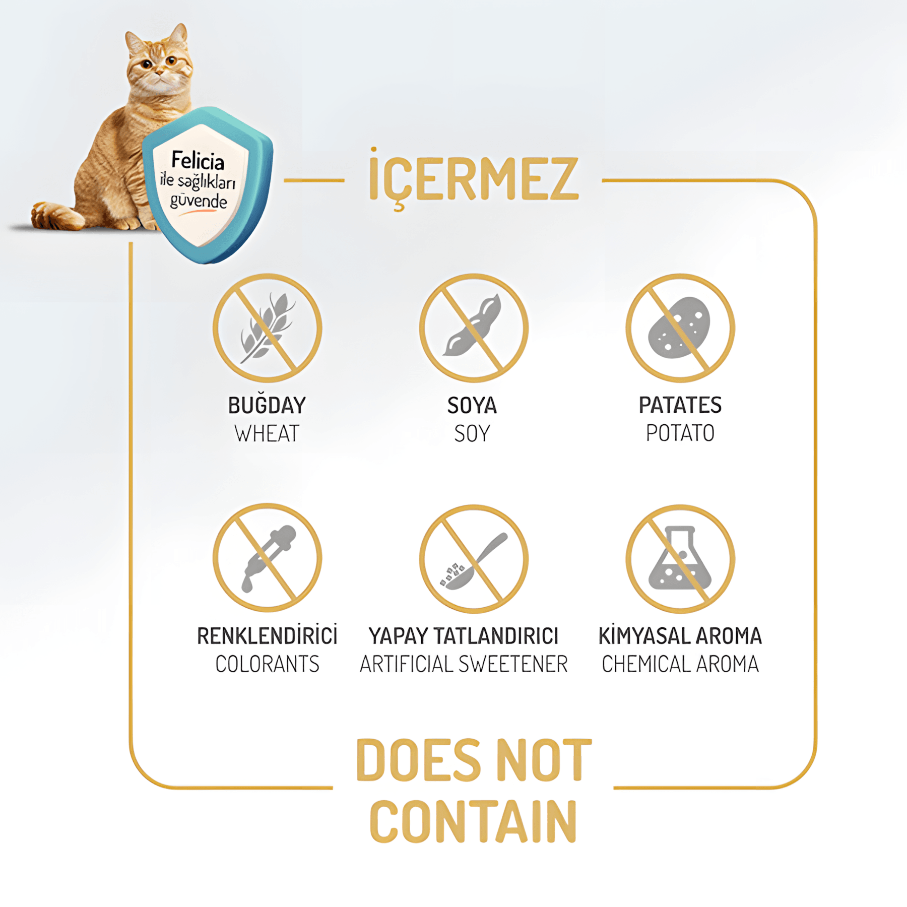 Felicia Az Tahıllı Somon Balıklı Hypoallergenic Kolajenli Yetişkin Kedi Maması 12Kg