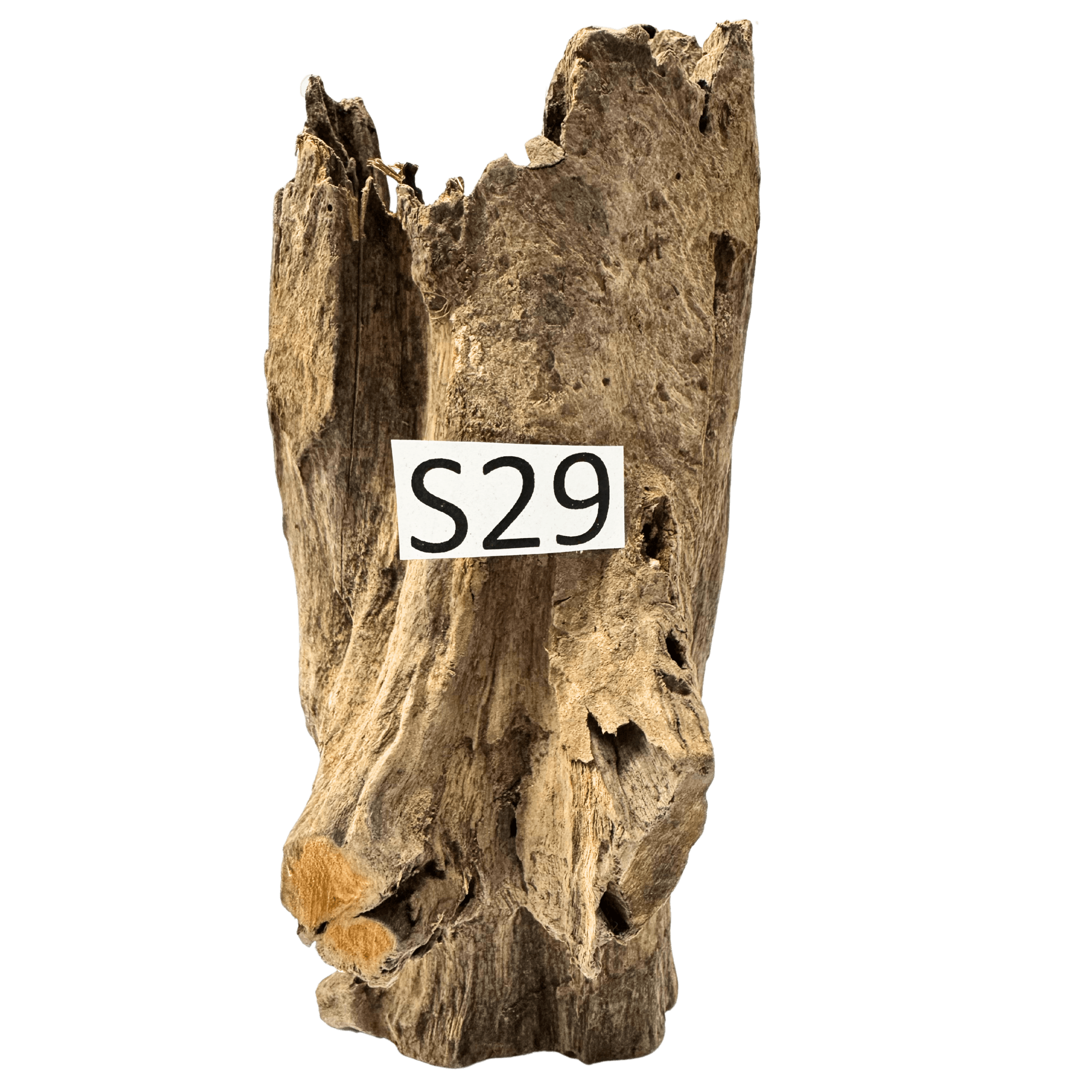 Small 29