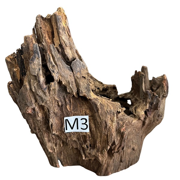 Medium 3