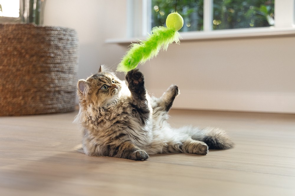 Beeztees Kedi Oltası, Zilli, Peluş Top ve Kuyruk,