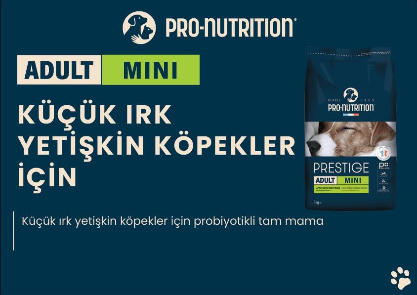 Pro Nutrition Adult Mini Yetişkin Köpek Maması Paketten Bölme 1Kg