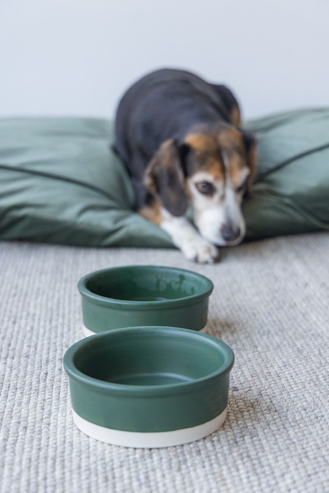 Beeztees DBL Köpek Mama Su Kabı, Seramik, Mat Yeşil, 16cm, 350ml