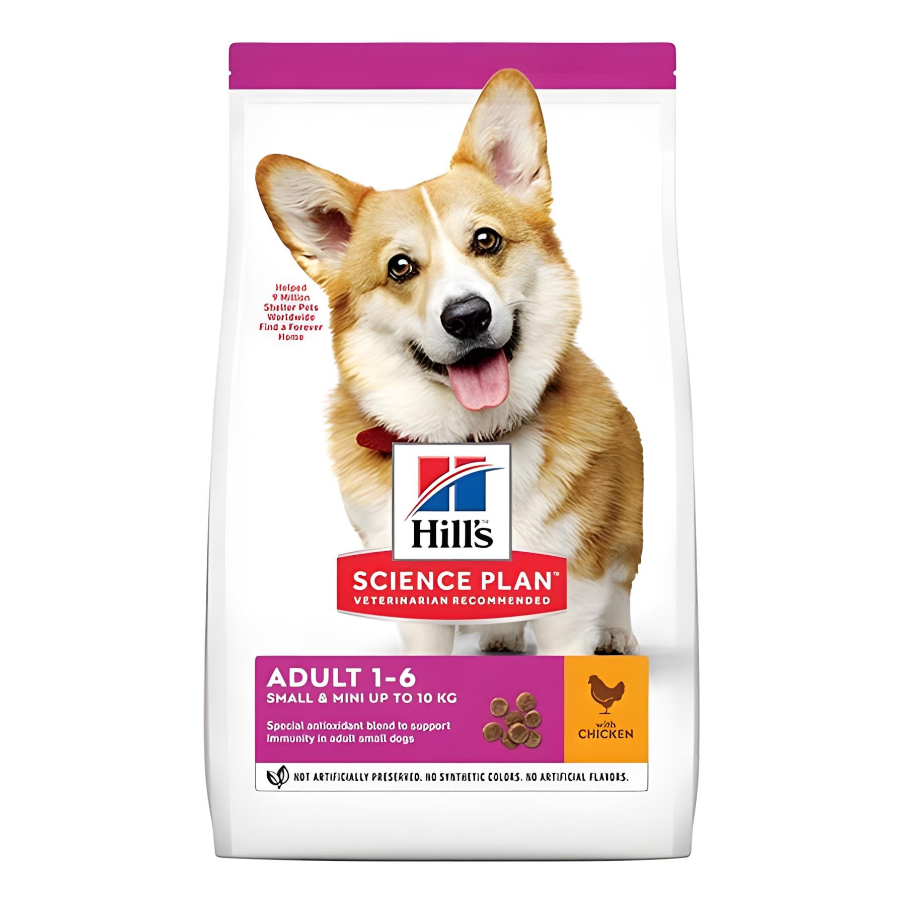 Hills Tavuklu Küçük Irk Yetişkin Köpek Maması 6Kg
