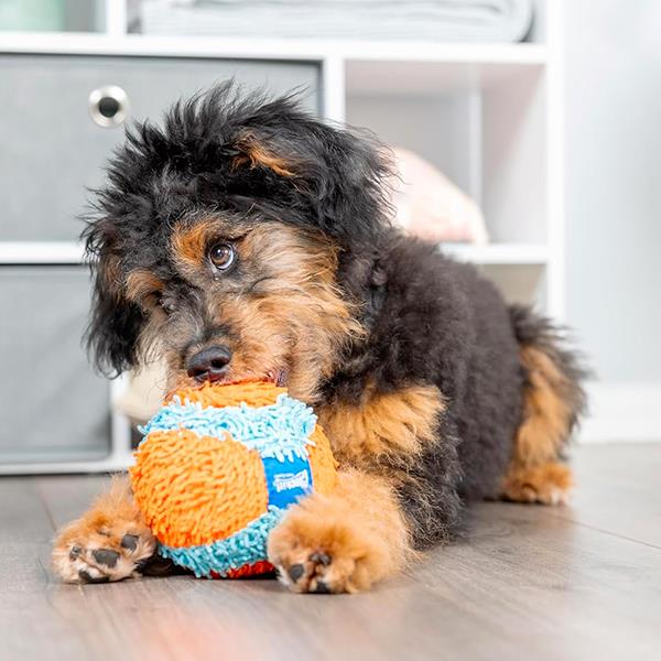 Chuckit Indoor Ball Ev İçi Yumuşak Köpek Oyun Topu
