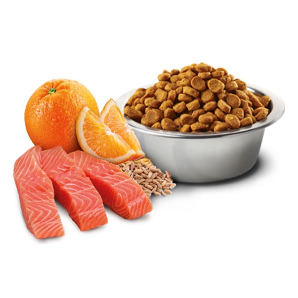ND Düşük Tahıllı Somonlu ve Portakallı Kısırlaştırılmış Yetişkin Kedi Maması Paketten Bölme 1 Kg