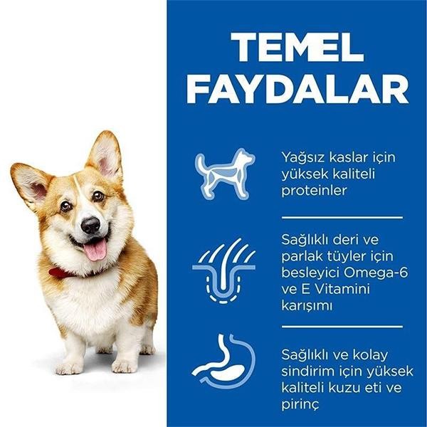 Hills Small Mini Adult Kuzu Etli Yetişkin Köpek Maması 1,5Kg