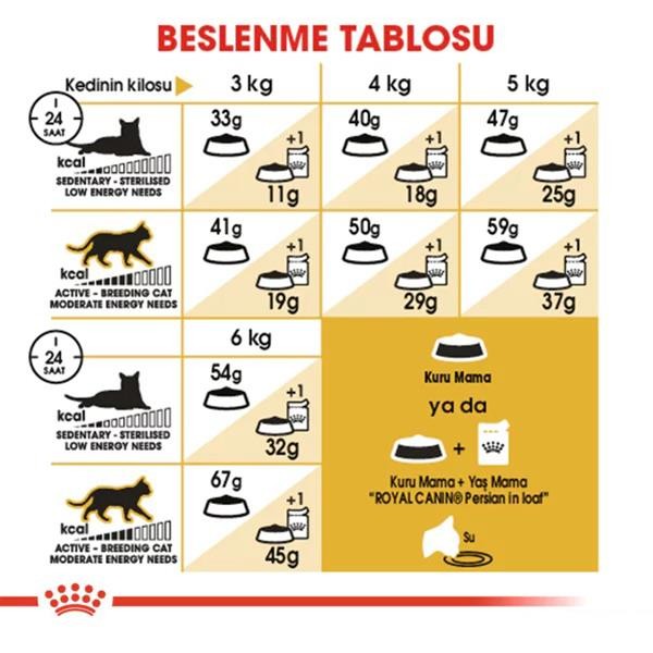 Royal Canin Persian Adult Yetişkin Kedi Maması 4 Kg