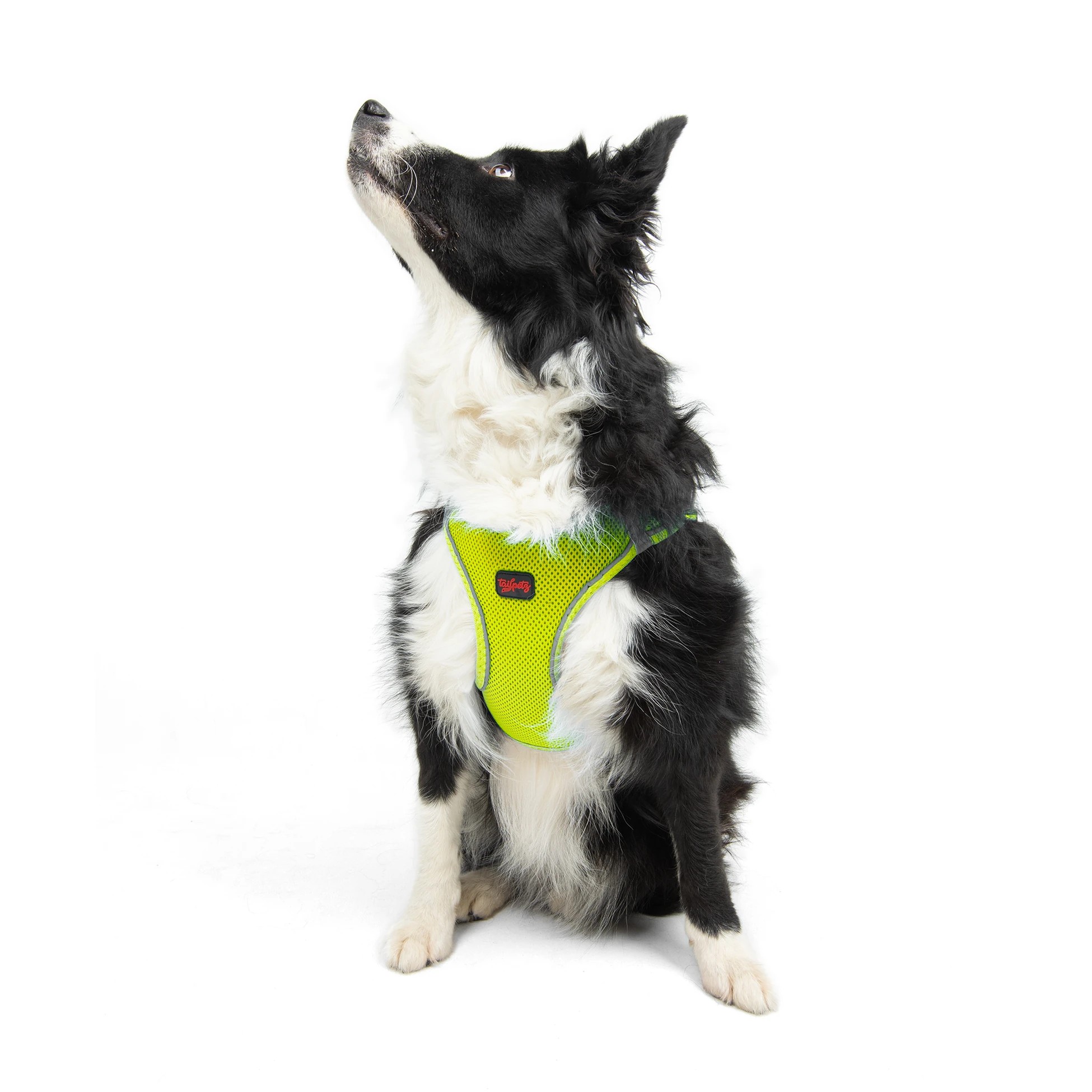 Tailpetz Air-Mesh Harness Neo Lime XL