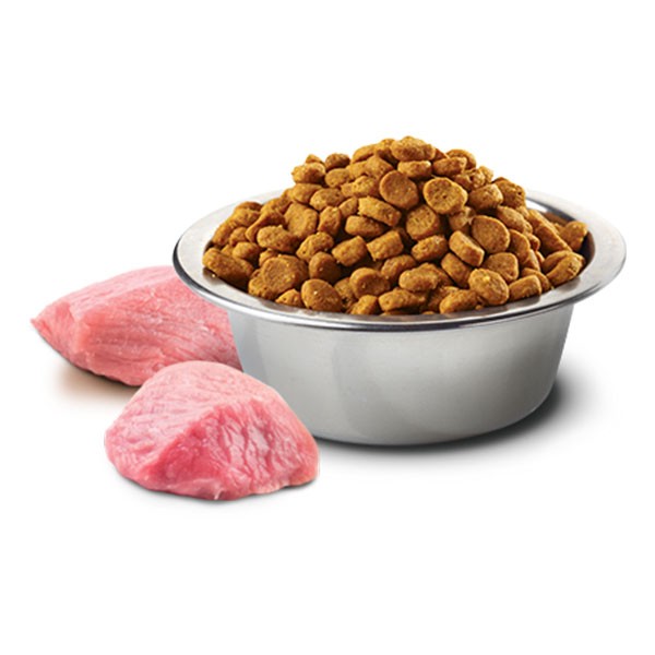 ND Tahılsız Yaban Domuzu ve Elmalı Yetişkin Kedi Maması 10 Kg