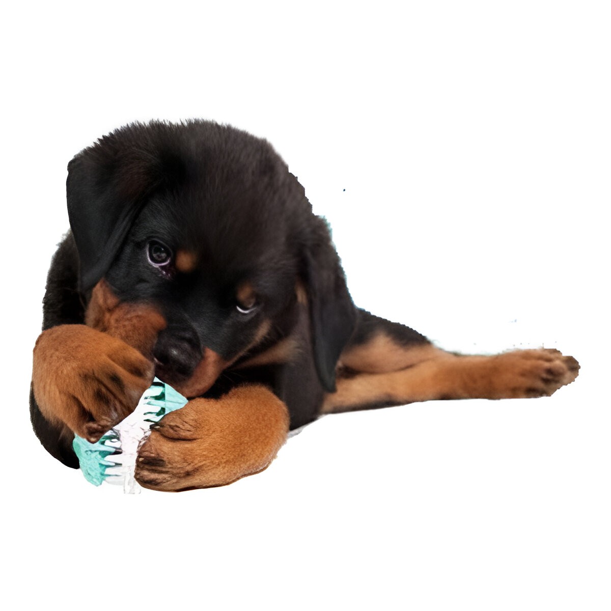 Trixie Dental Diş Bakım Topu Köpek Oyuncağı 6cm