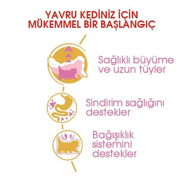 Royal Canin Persian Kitten Yavru Kedi Maması 2 Kg