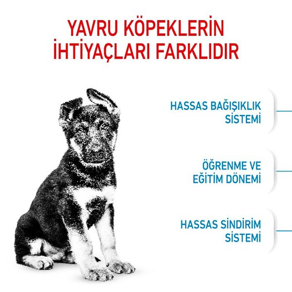 Royal Canin Maxi Puppy Yavru Köpek Maması 15 Kg