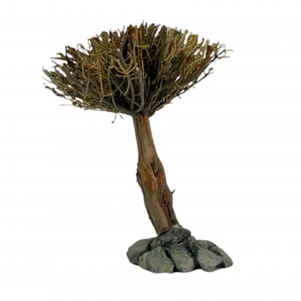 Marimo Moss Scape Ağaç Figürü M