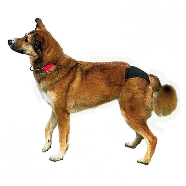 Trixie Hijyenik Köpek Külodu Xs 20-25cm Siyah