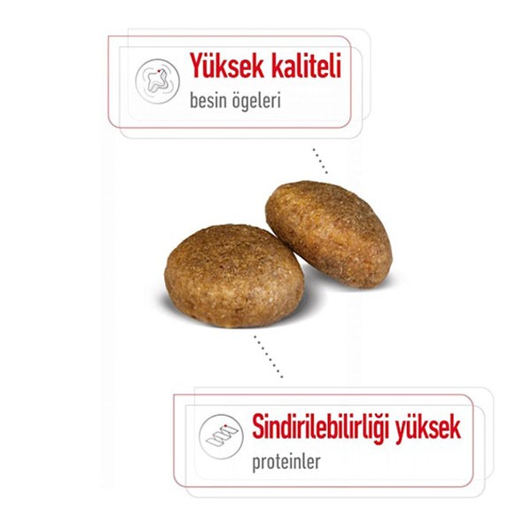 Royal Canin Maxi Adult Yetişkin Köpek Maması 15 Kg
