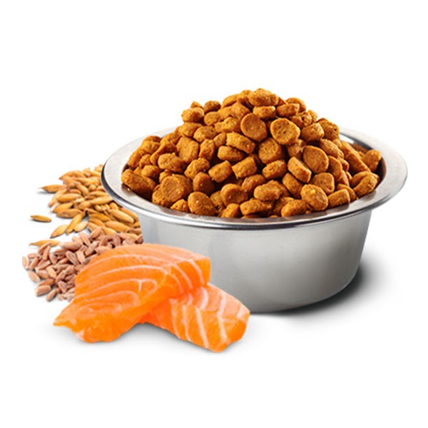 ND Tropical Selection Somonlu Orta ve Büyük Irk Yetişkin Köpek Maması 2Kg