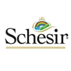 Schesir