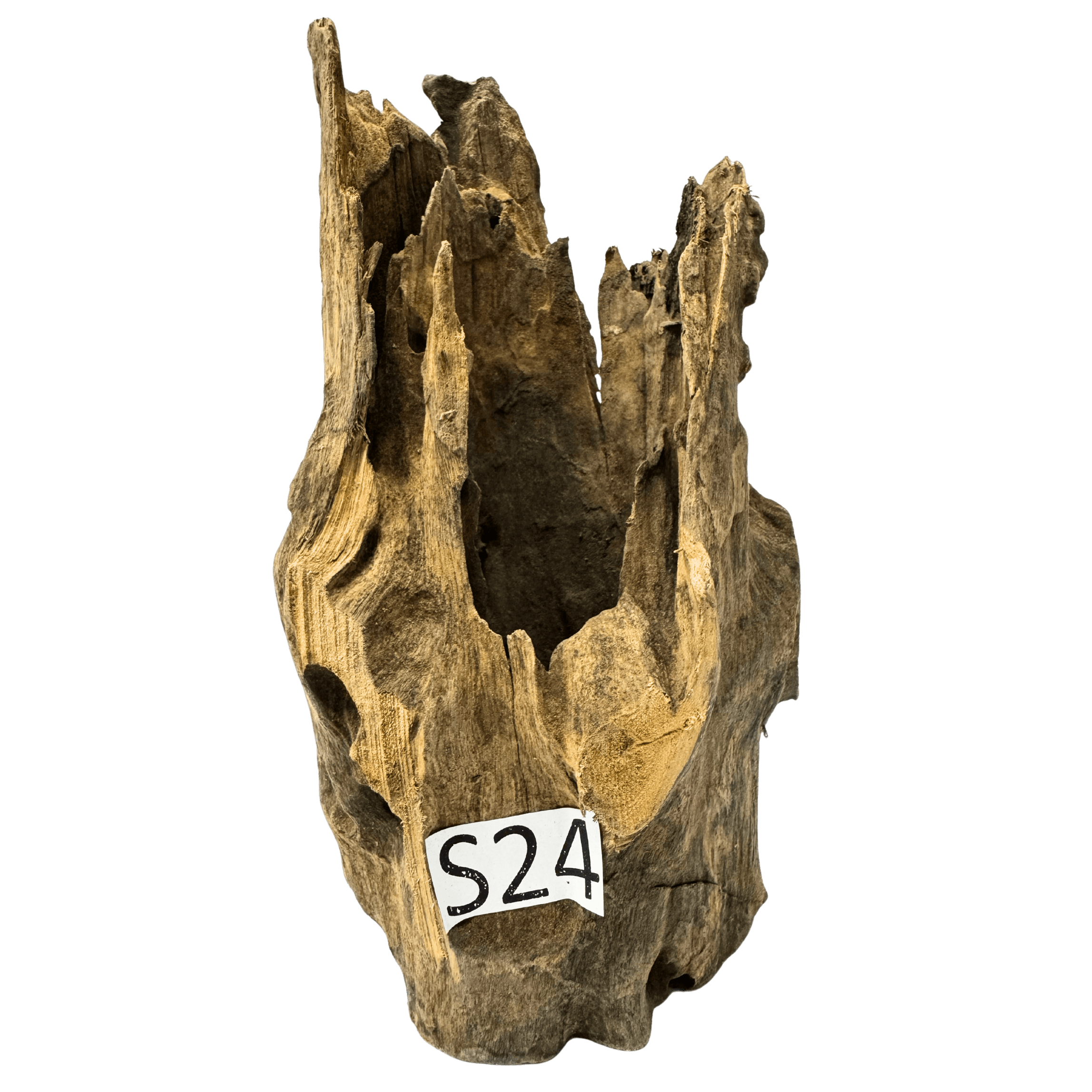 Small 24
