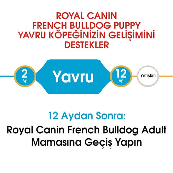 Royal Canin French Bulldog Junior Yavru Köpek Maması 3 Kg