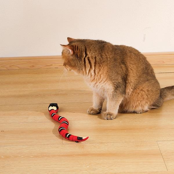 M-Pets Sneaky Snake İnteraktif Kedi Oyuncağı