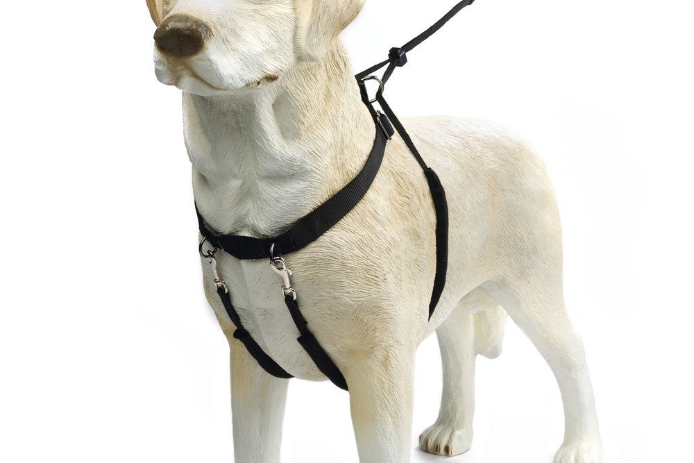 Beeztees Köpek Yürüyüş Eğitim ve Düzeltme Tasması, XL