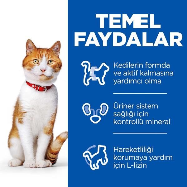 Hills Alabalıklı Kısırlaştırılmış Pouch Kedi Maması 85gr