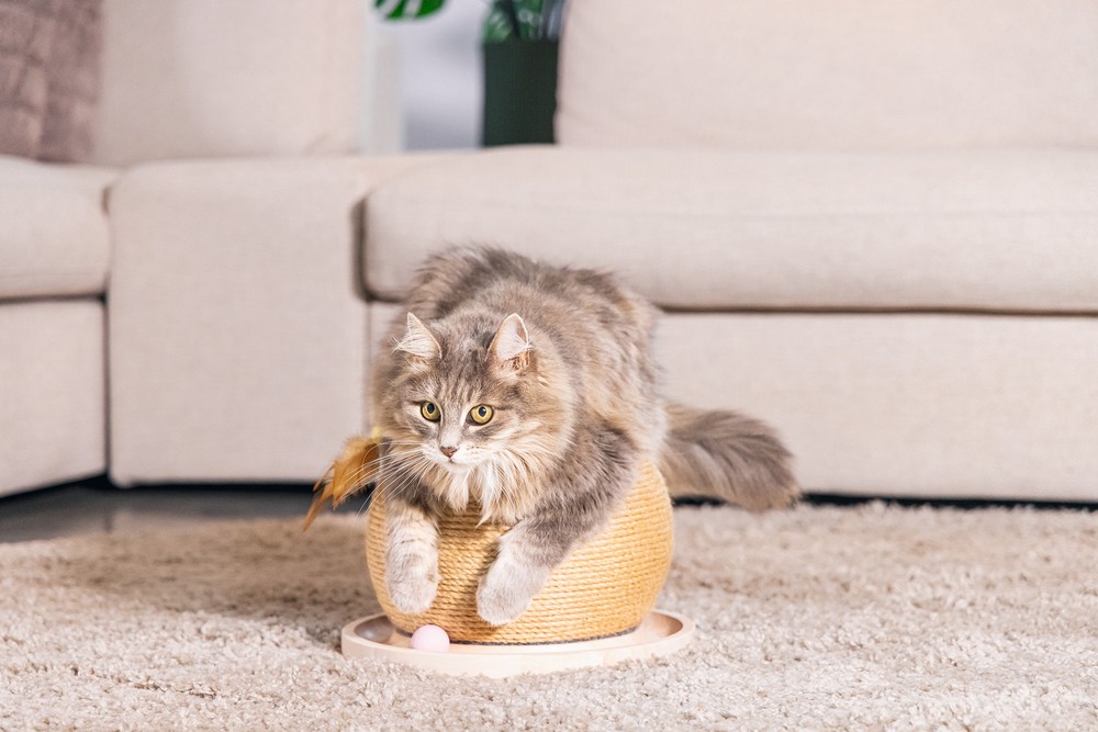Beeztees DBL Kedi Tırmalama ve Oyuncağı, 29,5x29,5x22cm