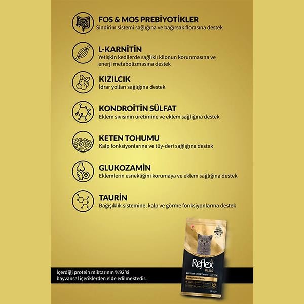 Reflex Plus Hipoalerjenik British Shorthair Yavru Kedi Maması 1,5Kg