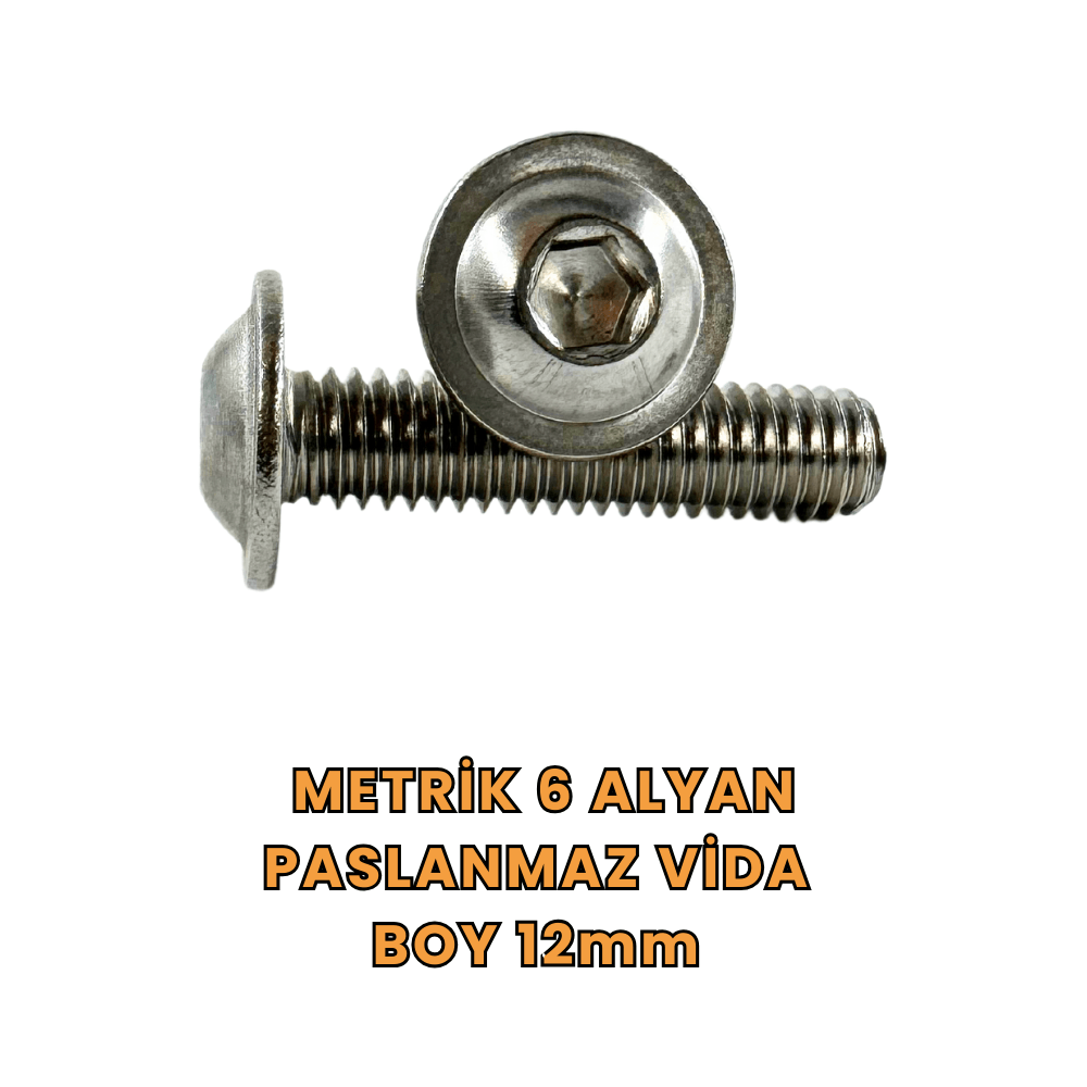 Metrik 6 Alyan Paslanmaz Vida Boy 12mm 25'li Paket
