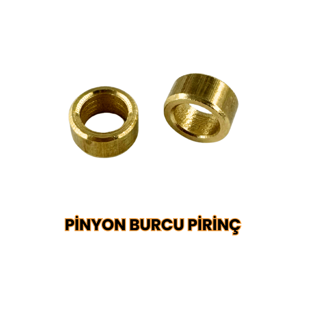 PİNYON BURCU PİRİNÇ 