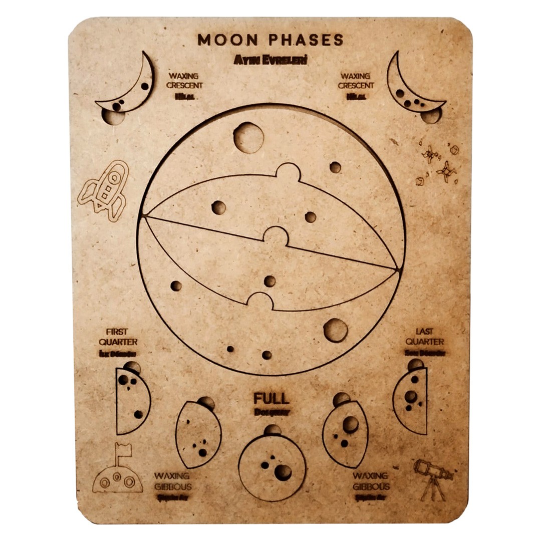 Phases of the Moon, Scientific Educational Toy, Gift for Toddlers, Wooden, Coloring Game