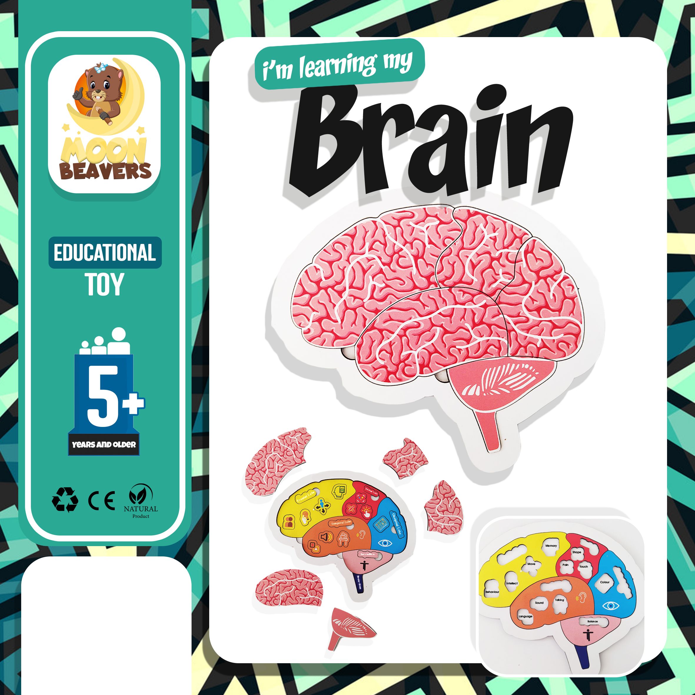 Brain Structure, Wooden Toy, Learning My Body, Educational Puzzle, Back to School, for Toddlers