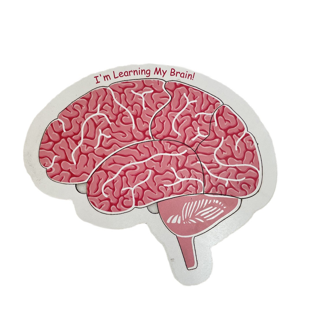 Brain Structure, Wooden Toy, Learning My Body, Educational Puzzle, Back to School, for Toddlers