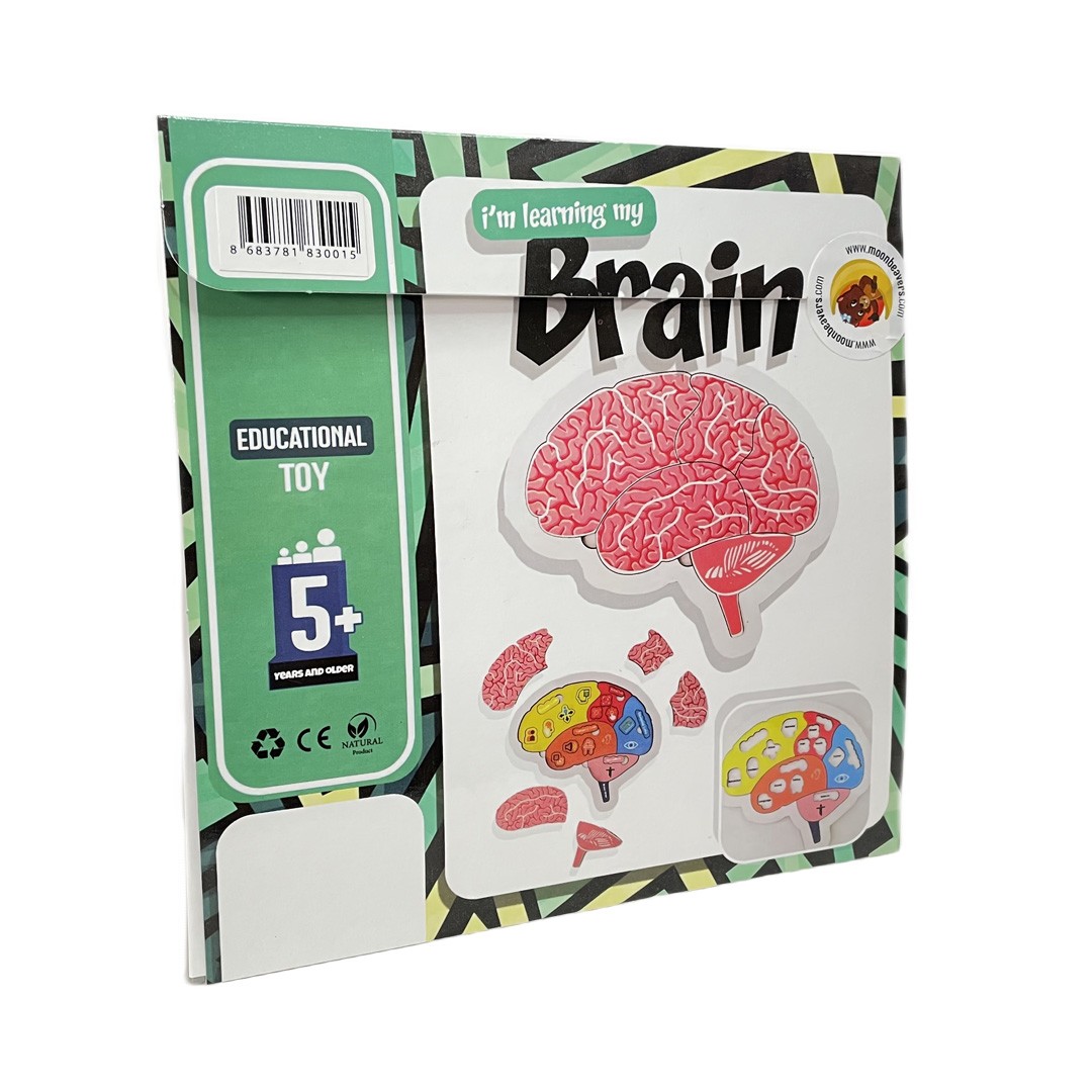 Brain Structure, Wooden Toy, Learning My Body, Educational Puzzle, Back to School, for Toddlers