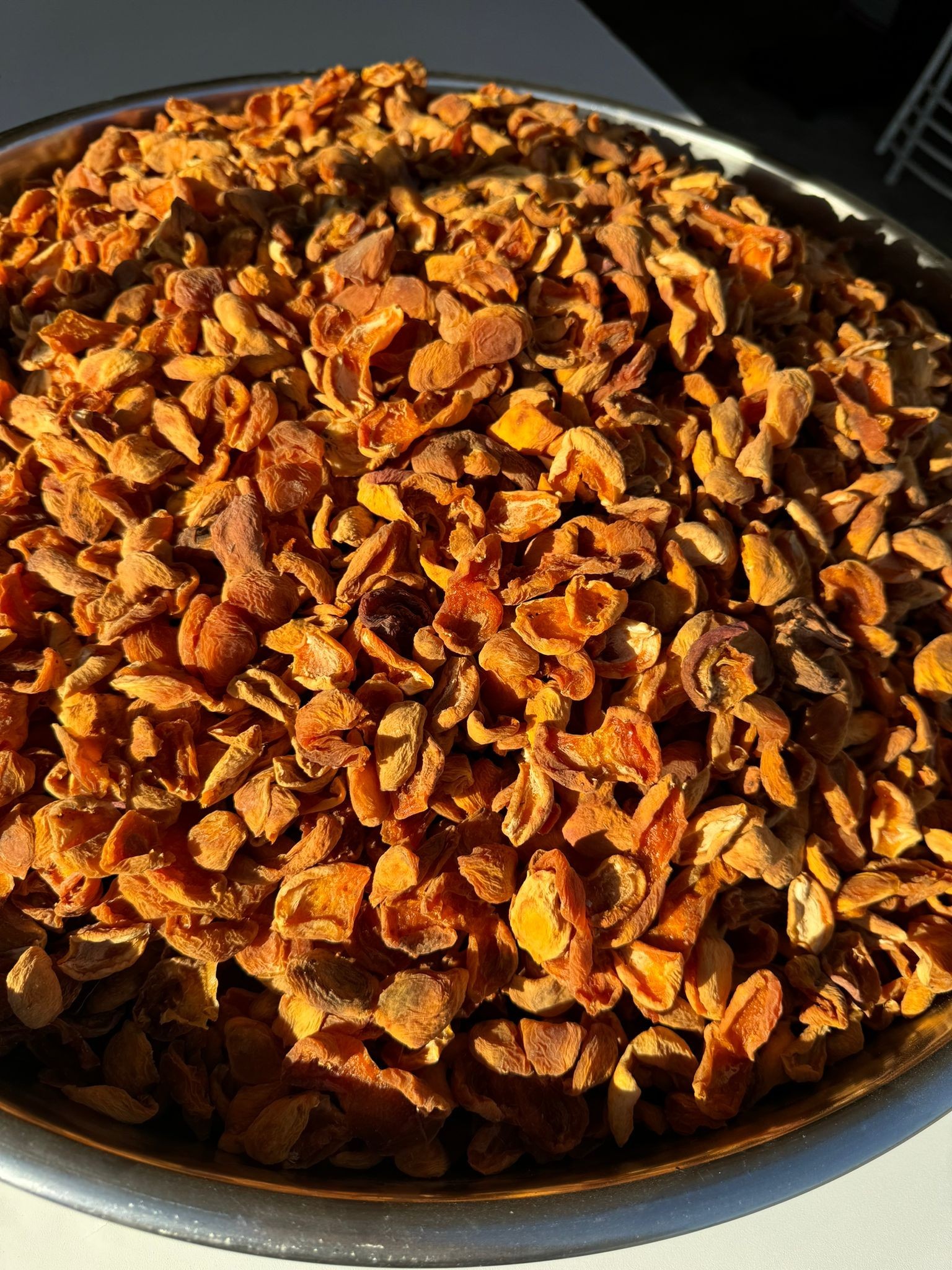 KAYISI KURUSU(ÇİRİ)