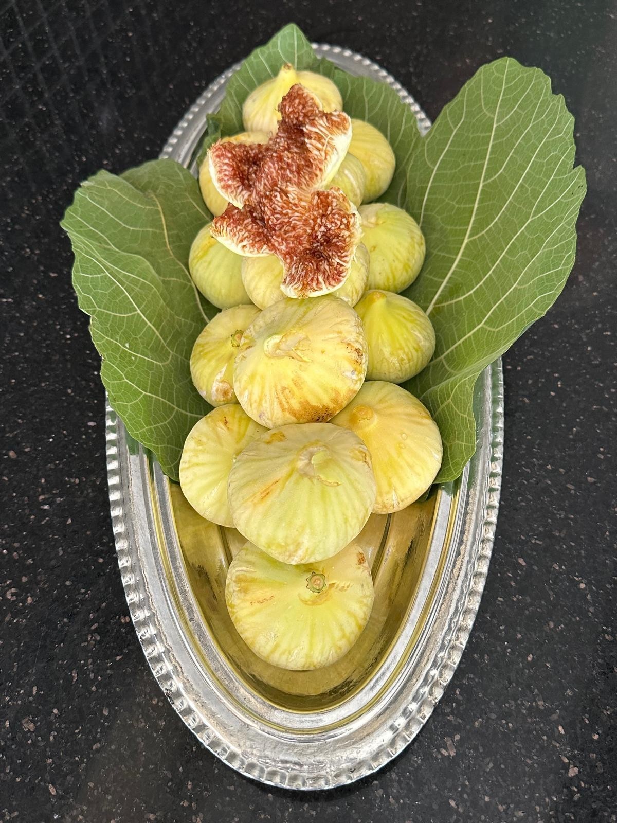 TÜM İNCİR KURUSU