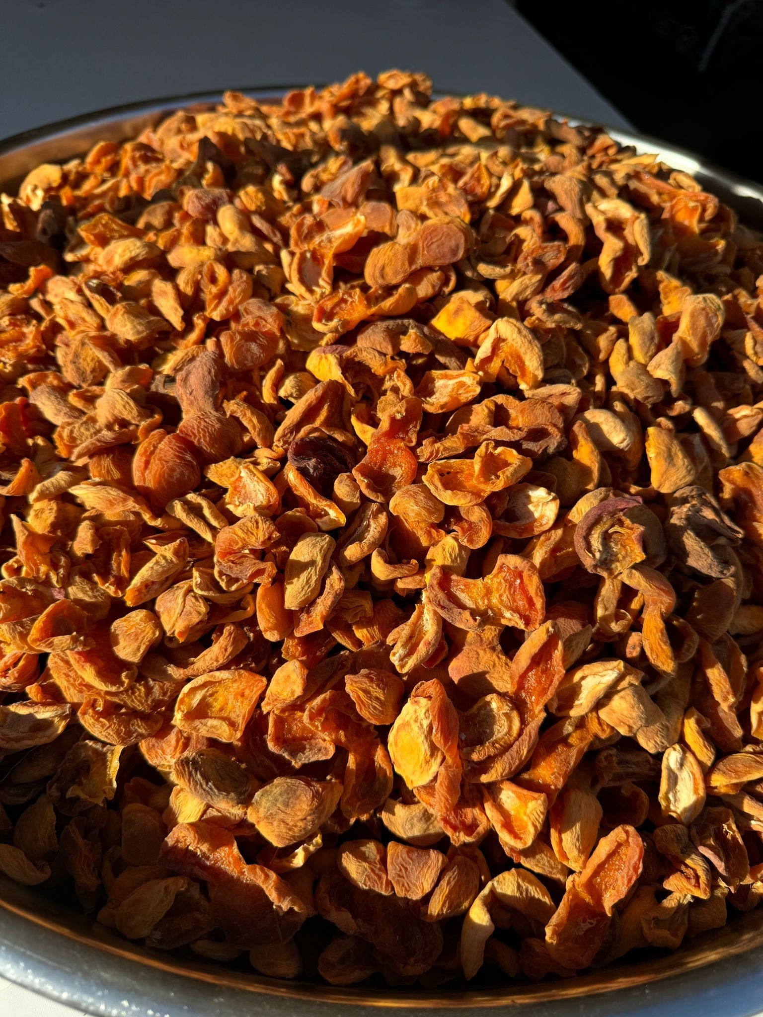 KAYISI KURUSU(ÇİRİ)