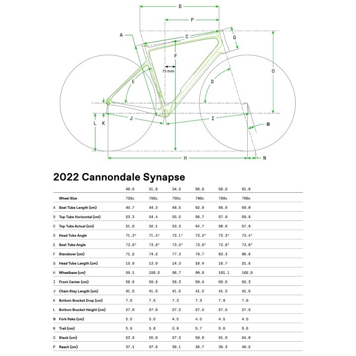 Cannondale SYNAPSE CARBON 3 L - Roadbike - 2022