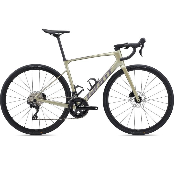 Giant DEFY ADVANCED 2 - Carbon Road Bike - 2024