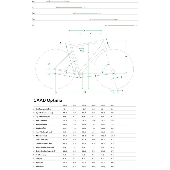 Cannondale CAAD OPTIMO 1 - Shimano 105 Roadbike - 2024