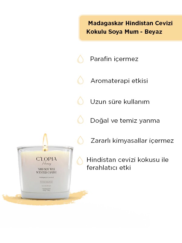 Madagaskar Hindistan Cevizi Kokulu Soya Mum - Beyaz